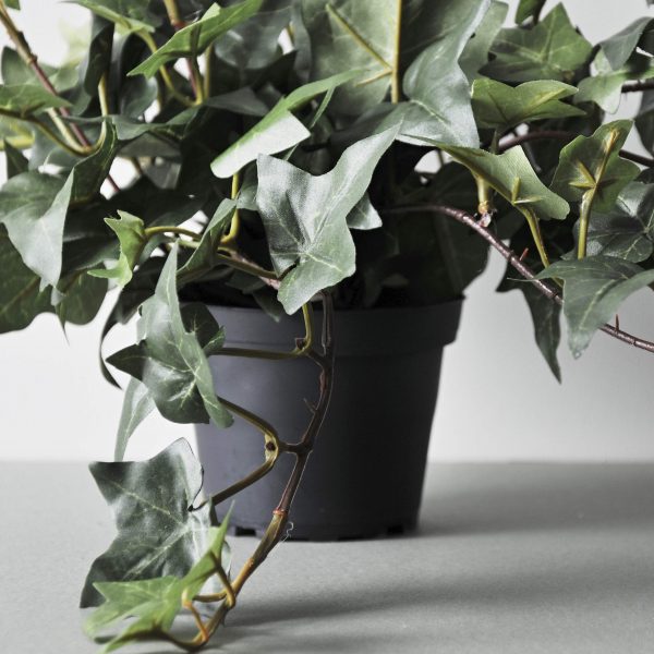 FAUX TRAILING IVY - Image 3