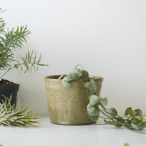 SPECKLED PLANT POT