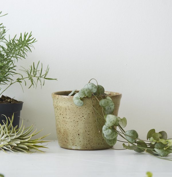 SPECKLED PLANT POT