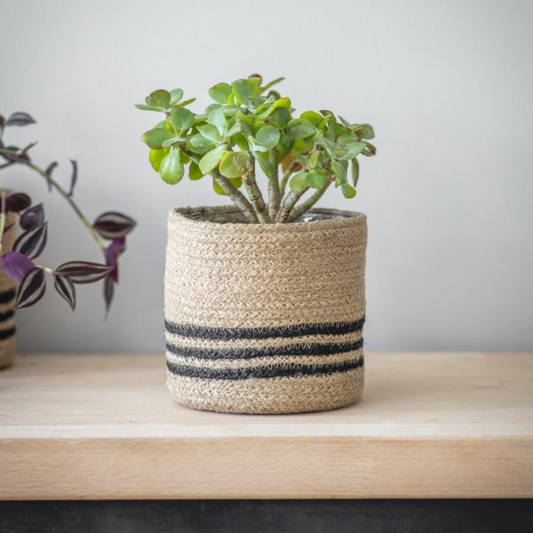 STRIPED POT - Image 2