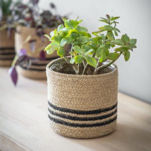STRIPED POT