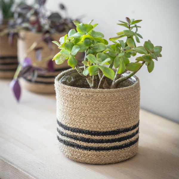 STRIPED POT